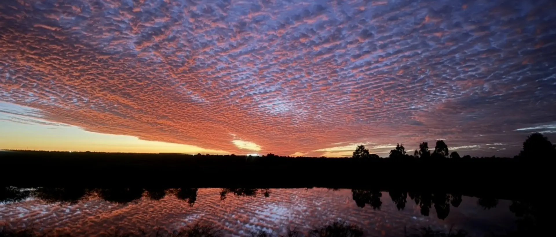 Feral Animal Control