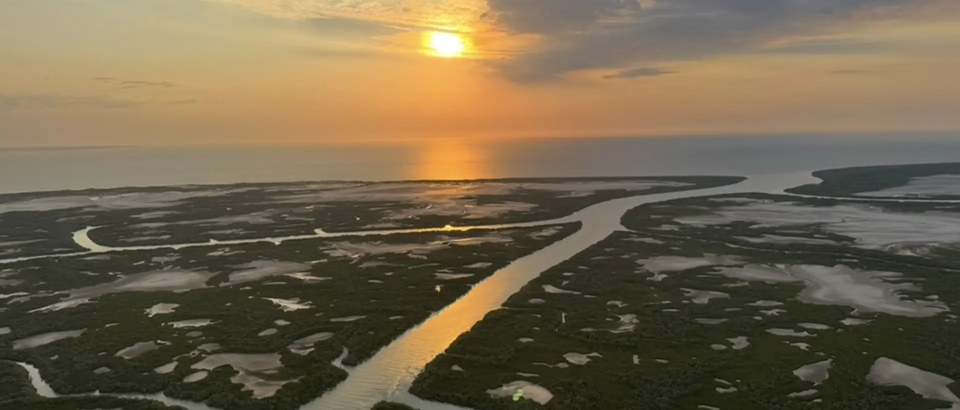 Feral Animal Control